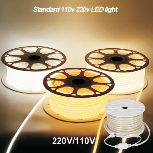 Standard 110v 220v light